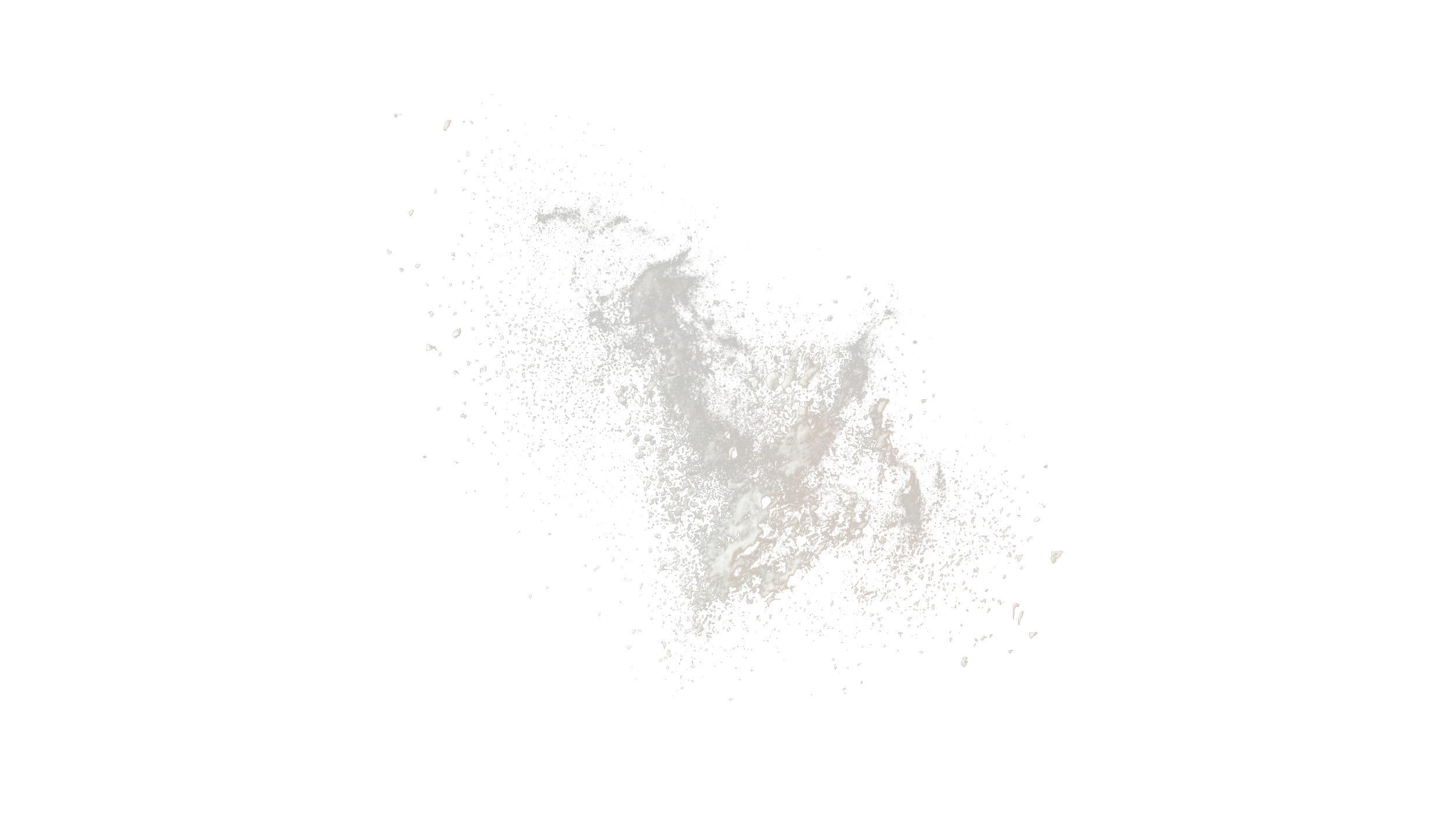 Polvo